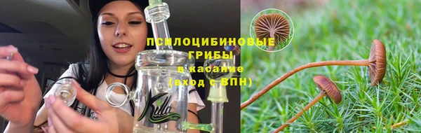 гидропоника Абдулино