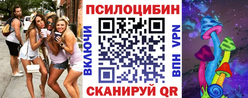 дарк нет состав  Дзержинск  Галлюциногенные грибы мицелий  OMG рабочий сайт 